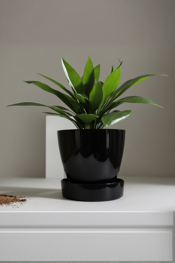 Flower Pots
