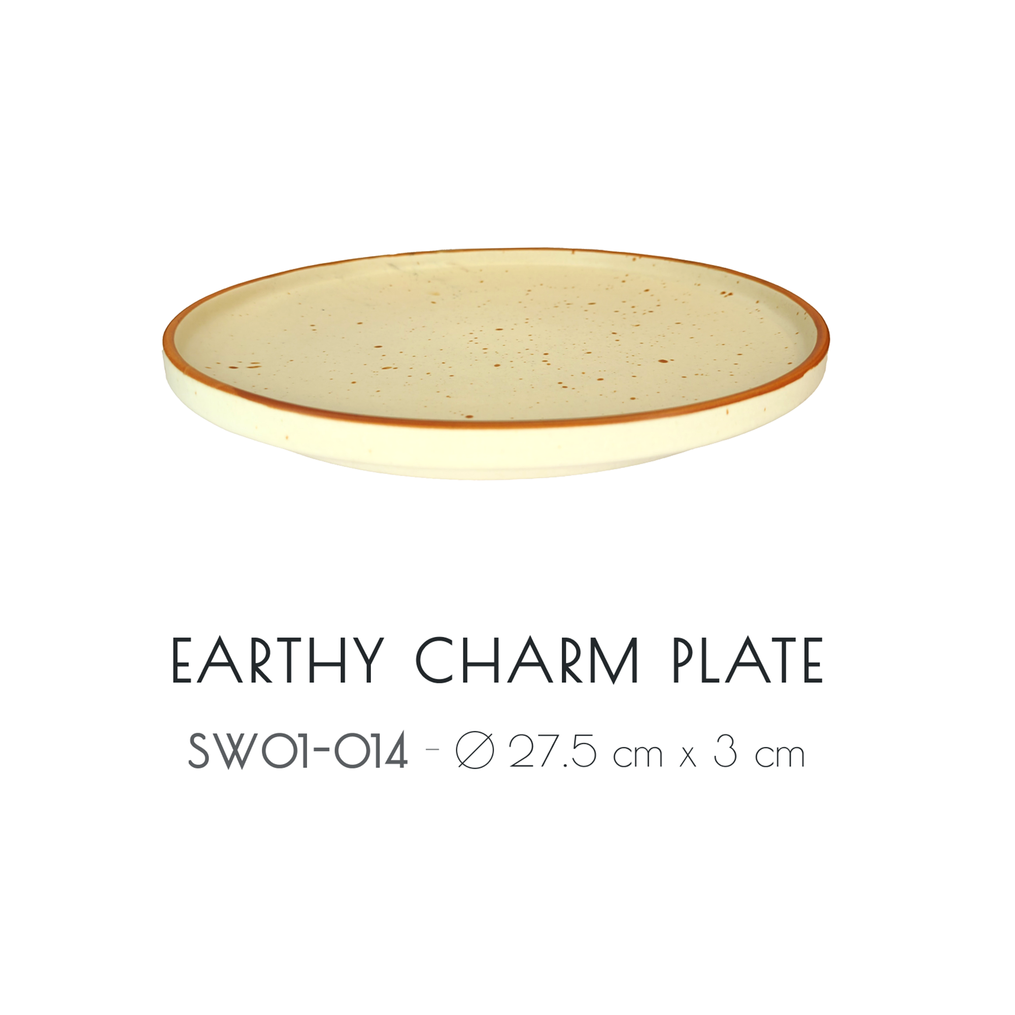 EARTHY CHARM PLATE - View 1