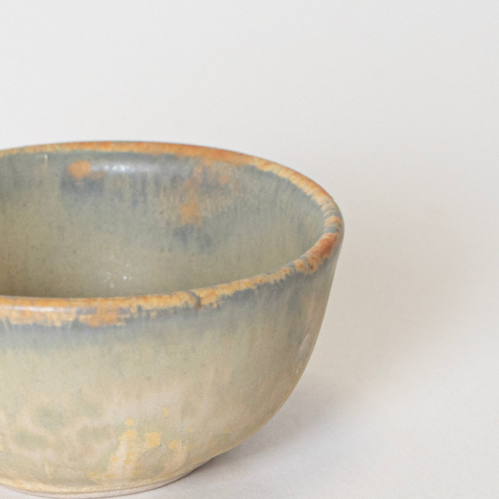 Sunny Savor Bowl