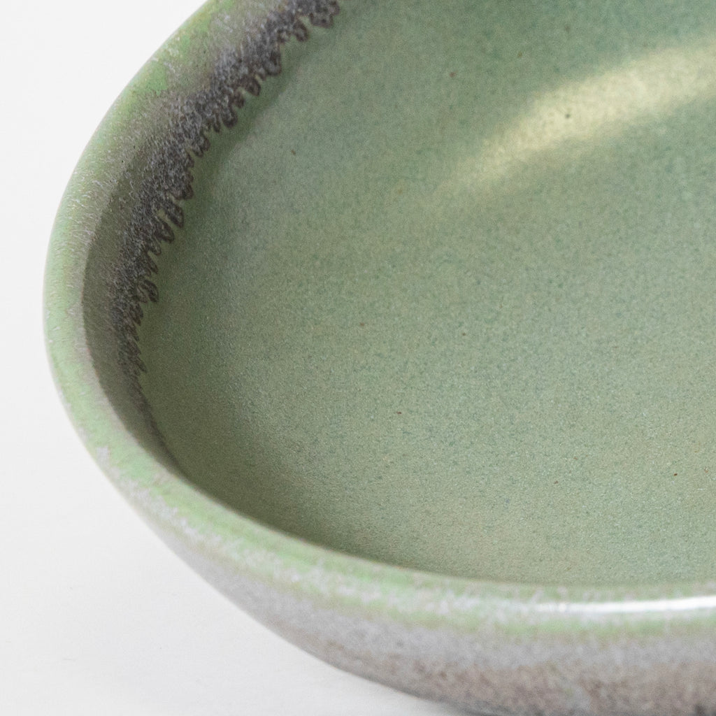 Herbaceous Pasta Bowl