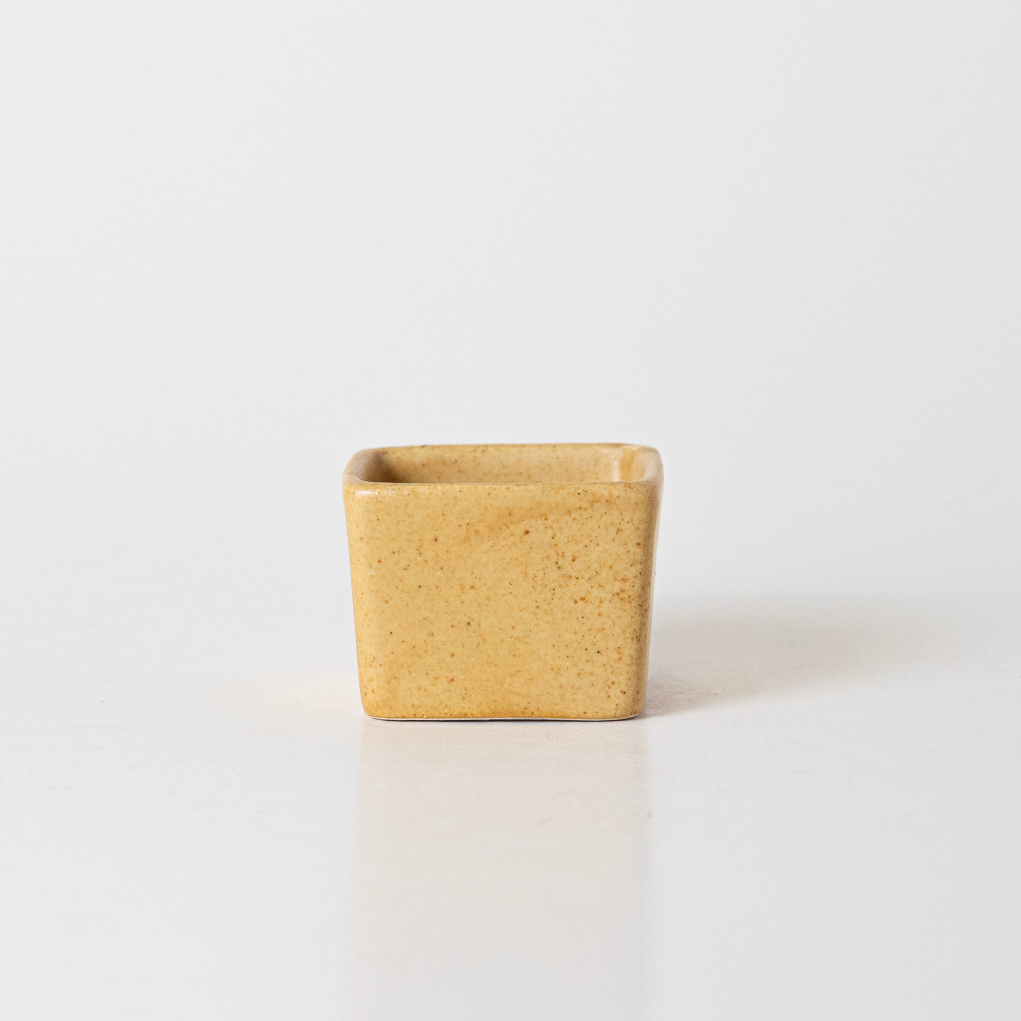 Sunshine Spice Condiment - View 1