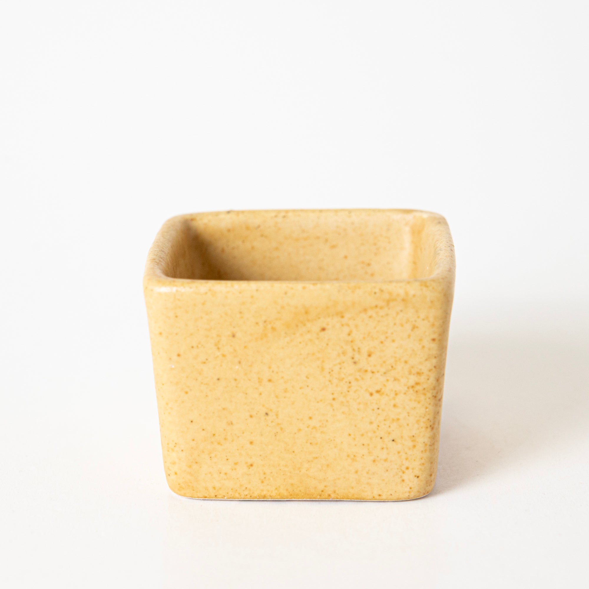 Sunshine Spice Condiment - View 2