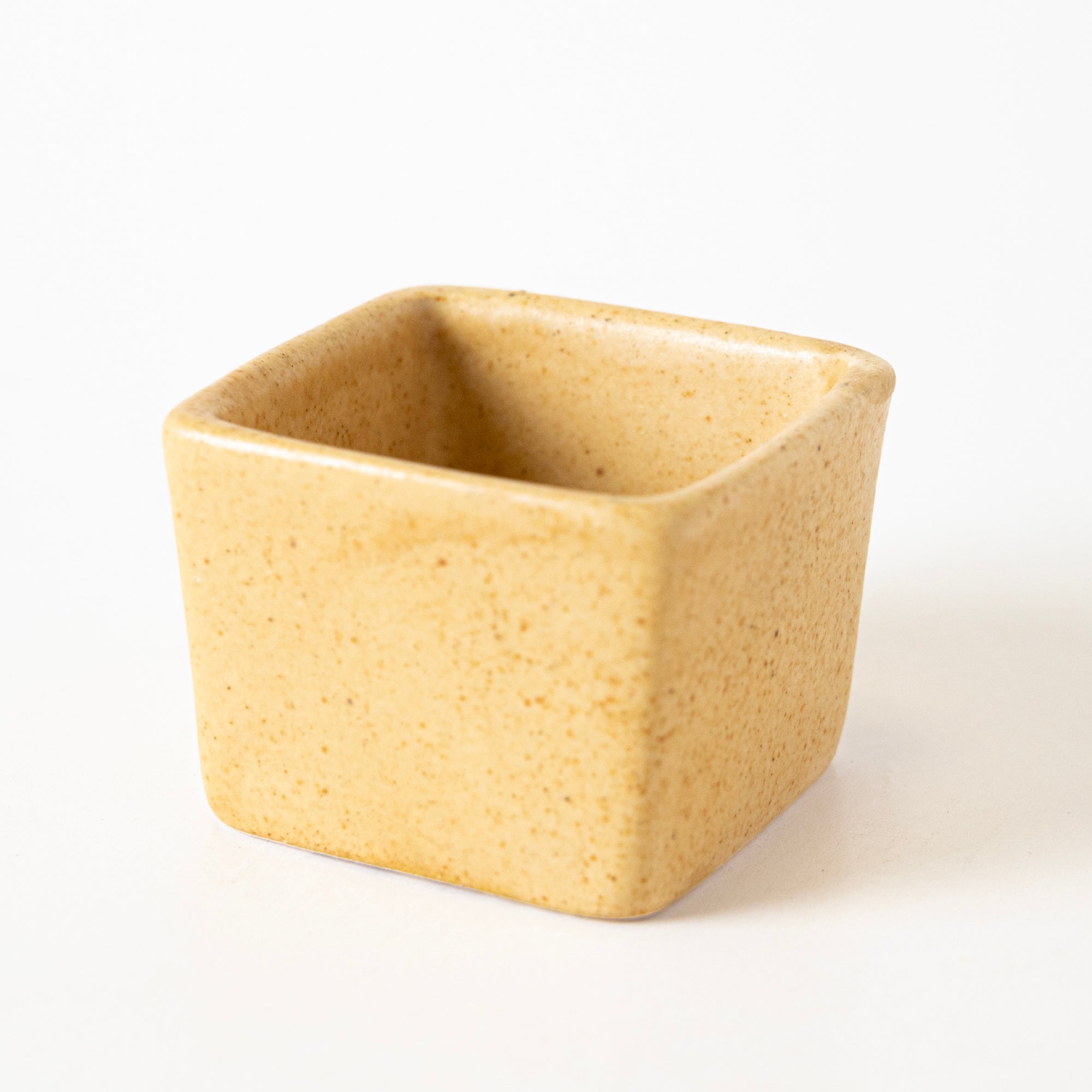 SUNSHINE SPICE CONDIMENT - View 1