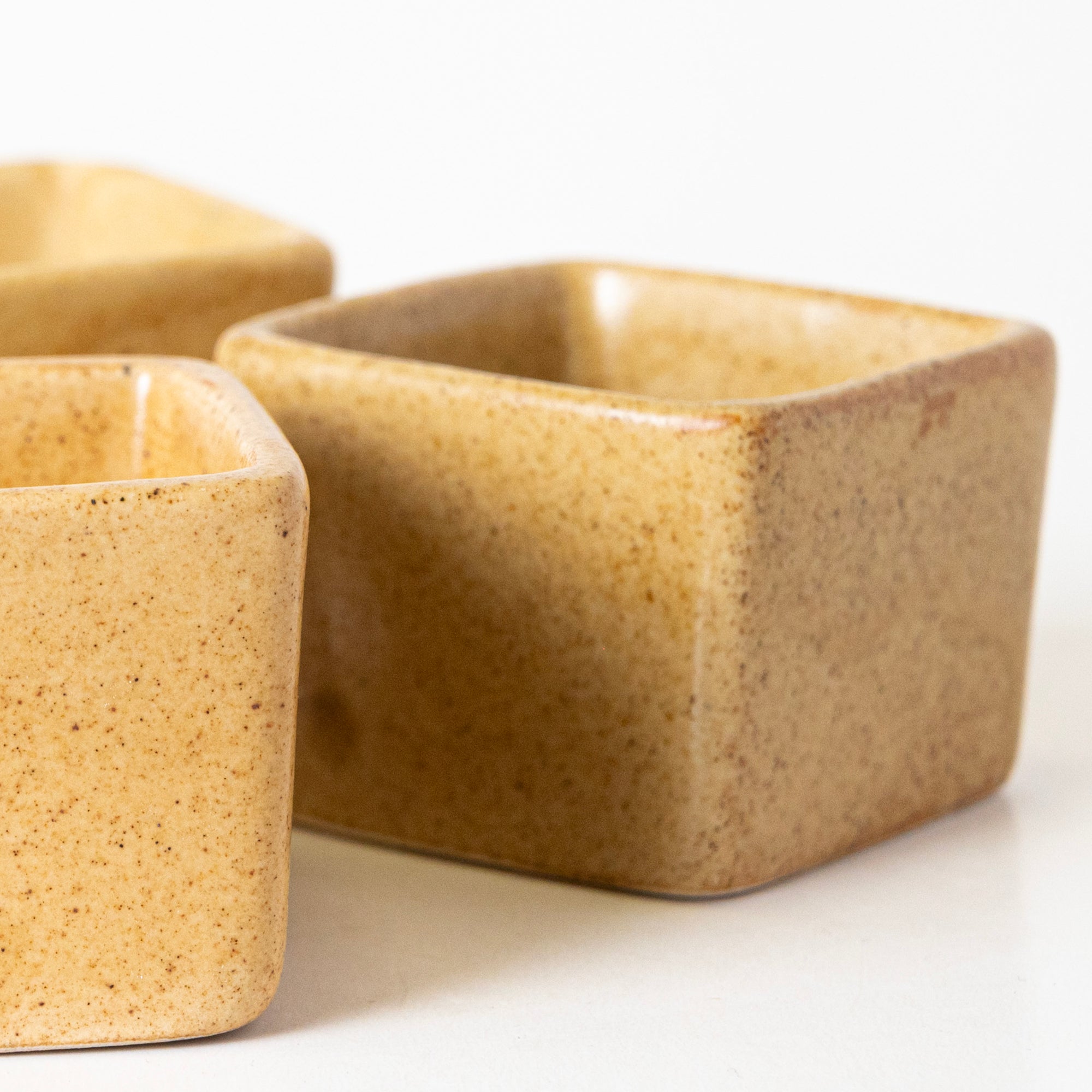 SUNSHINE SPICE CONDIMENT - View 2