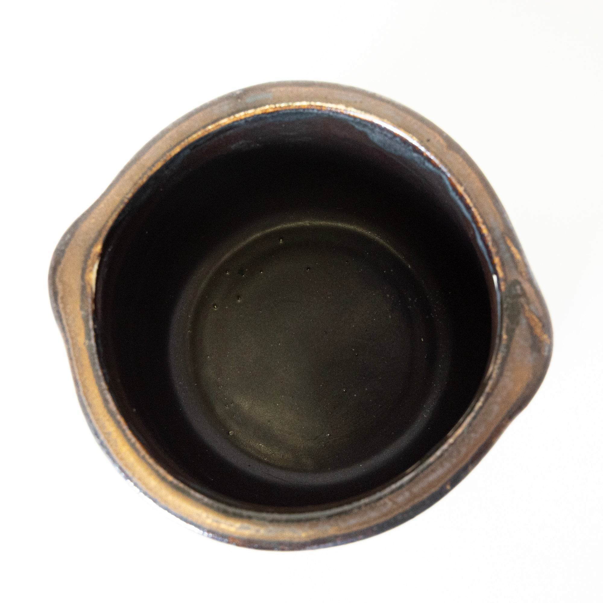 Ironwood Donga - View 2